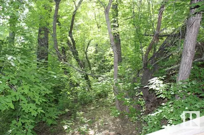 Interior photo 4 of 9109 98 ST NW NW