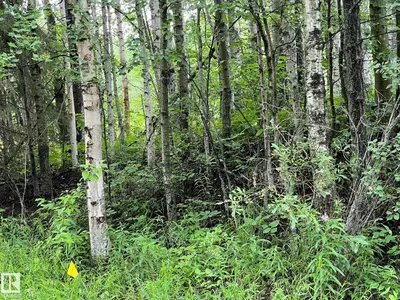 Interior photo 1 of 2130 2001 Twp Rd 474