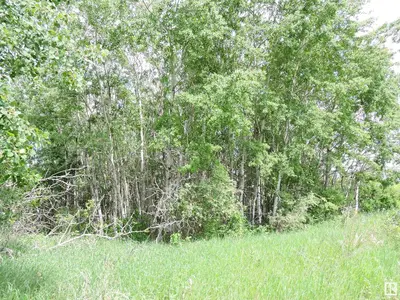 Interior photo 1 of Range Road 103 Township 564