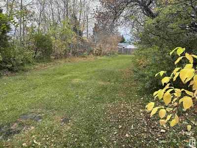 Interior photo 3 of 5107 51 ST