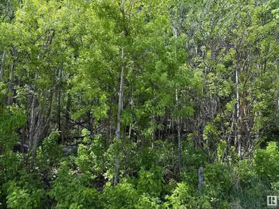 Interior photo 1 of Lot 6 Baptiste DR