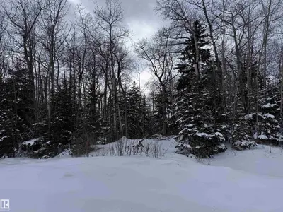 Interior photo 4 of Rge Rd 261 Twp Rd 630