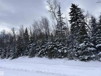 Interior photo 3 of Rge Rd 261 Twp Rd 630