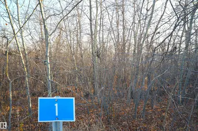 Interior photo 2 of 1 46321 TWP RD 611