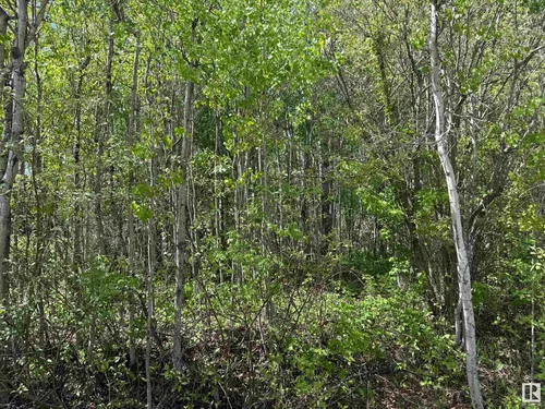 Lot 6 Baptiste DR, Rural Athabasca County - $95,000