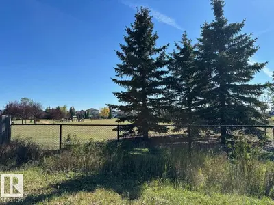 Interior photo 3 of 9517 107 AV