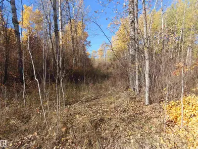 Interior photo 3 of RR 31 MUSEUM ROAD