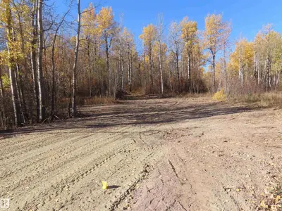 Interior photo 2 of RR 31 MUSEUM ROAD