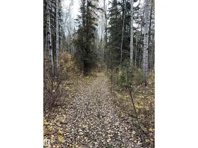 Interior photo 4 of NW 18-49-5 W5M