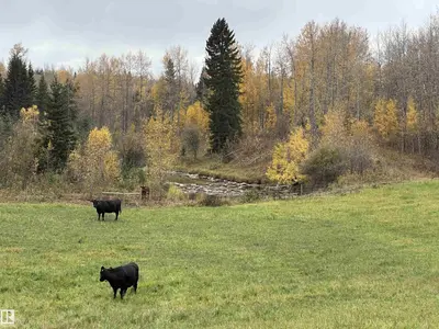 Interior photo 2 of NW 18-49-5 W5M