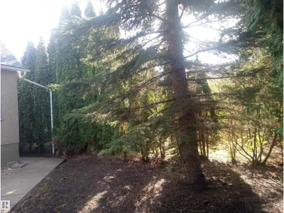 Interior photo 3 of 11235 95 ST NW NW