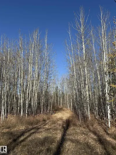 Interior photo 2 of #49 50322 RGE ROAD 10