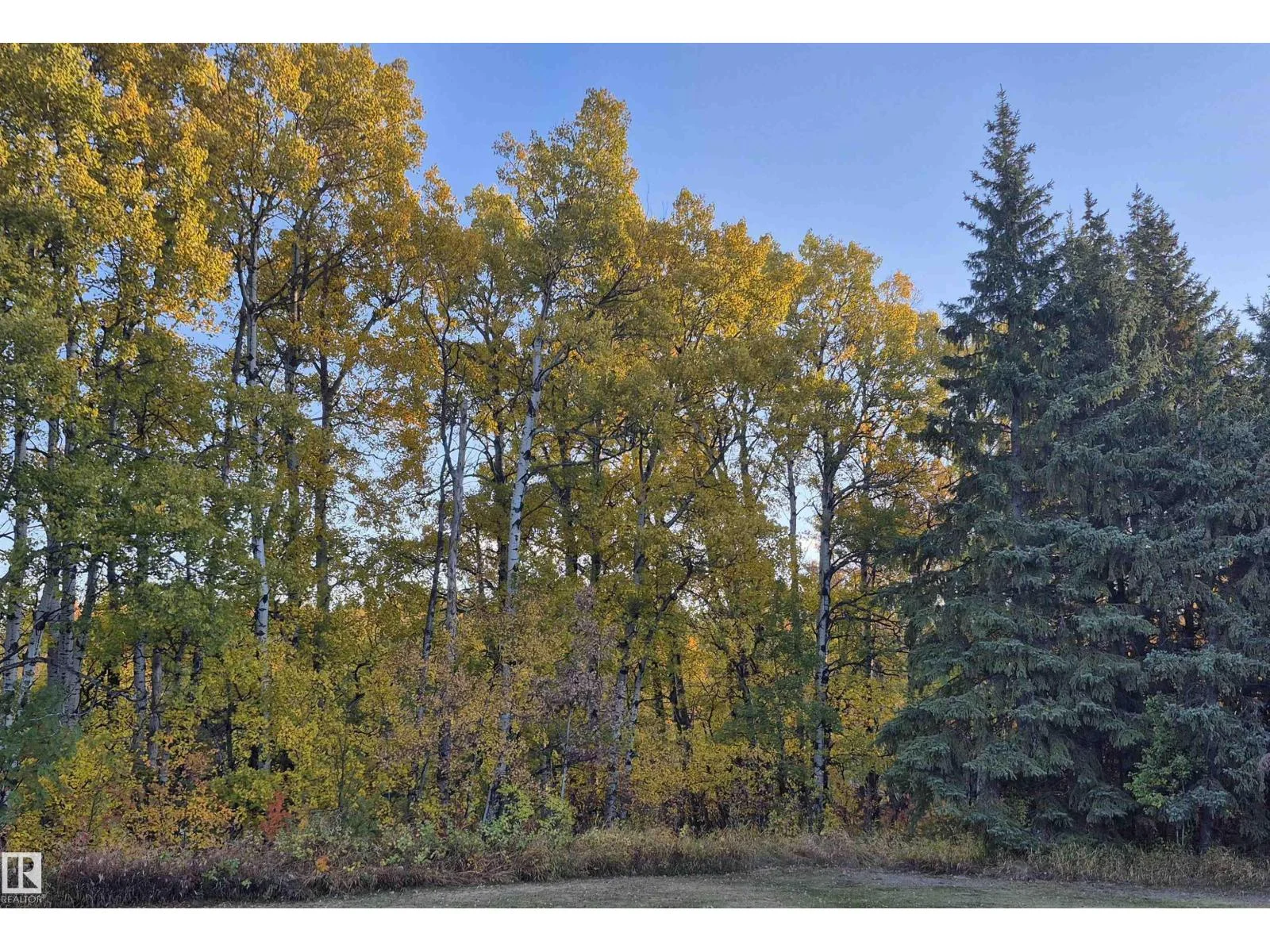 #49 50322 RGE ROAD 10, Rural Parkland County - 0 bedroom Vacant Lot/Land for sale