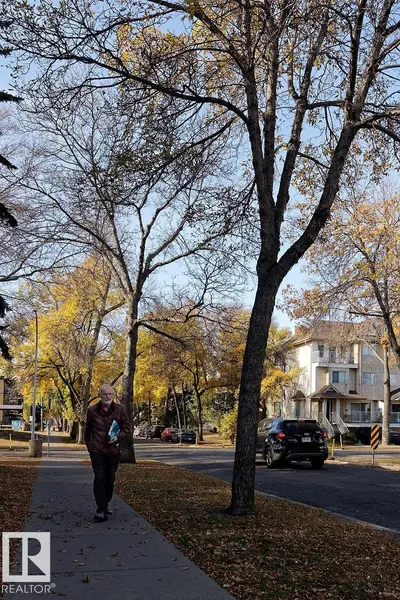 Interior photo 2 of #105 11217 103 AV NW NW