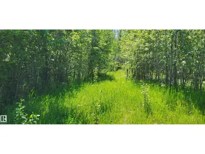 Interior photo 4 of Twp 491 Range Road 73