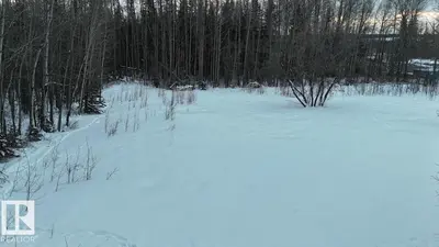 Interior photo 4 of 4901 50 AV