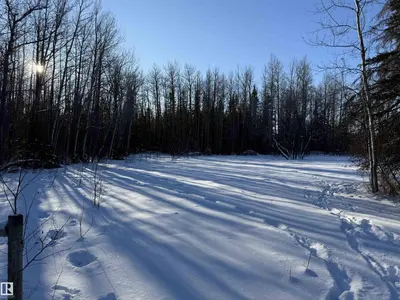 Interior photo 1 of 4901 50 AV