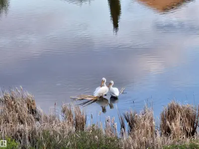 Interior photo 4 of 466 CHURCHILL CR