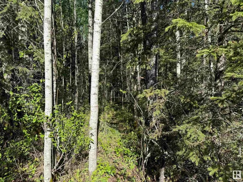 NE-6-64- 22-W of 4, Rural Athabasca County - $350,000