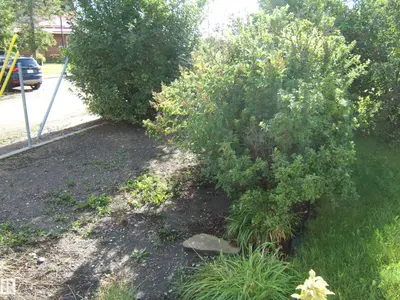 Interior photo 2 of 4807 54 AV