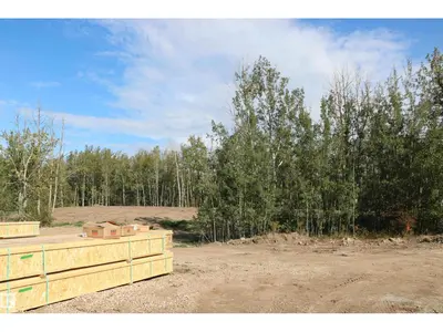 Interior photo 3 of 617 55101 Ste Anne TR