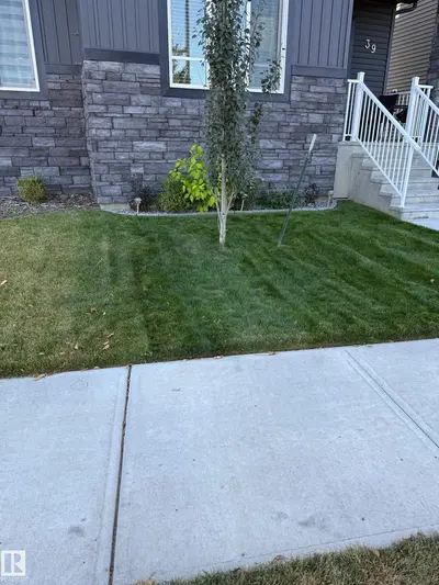 Interior photo 3 of 39 FENWYCK BV