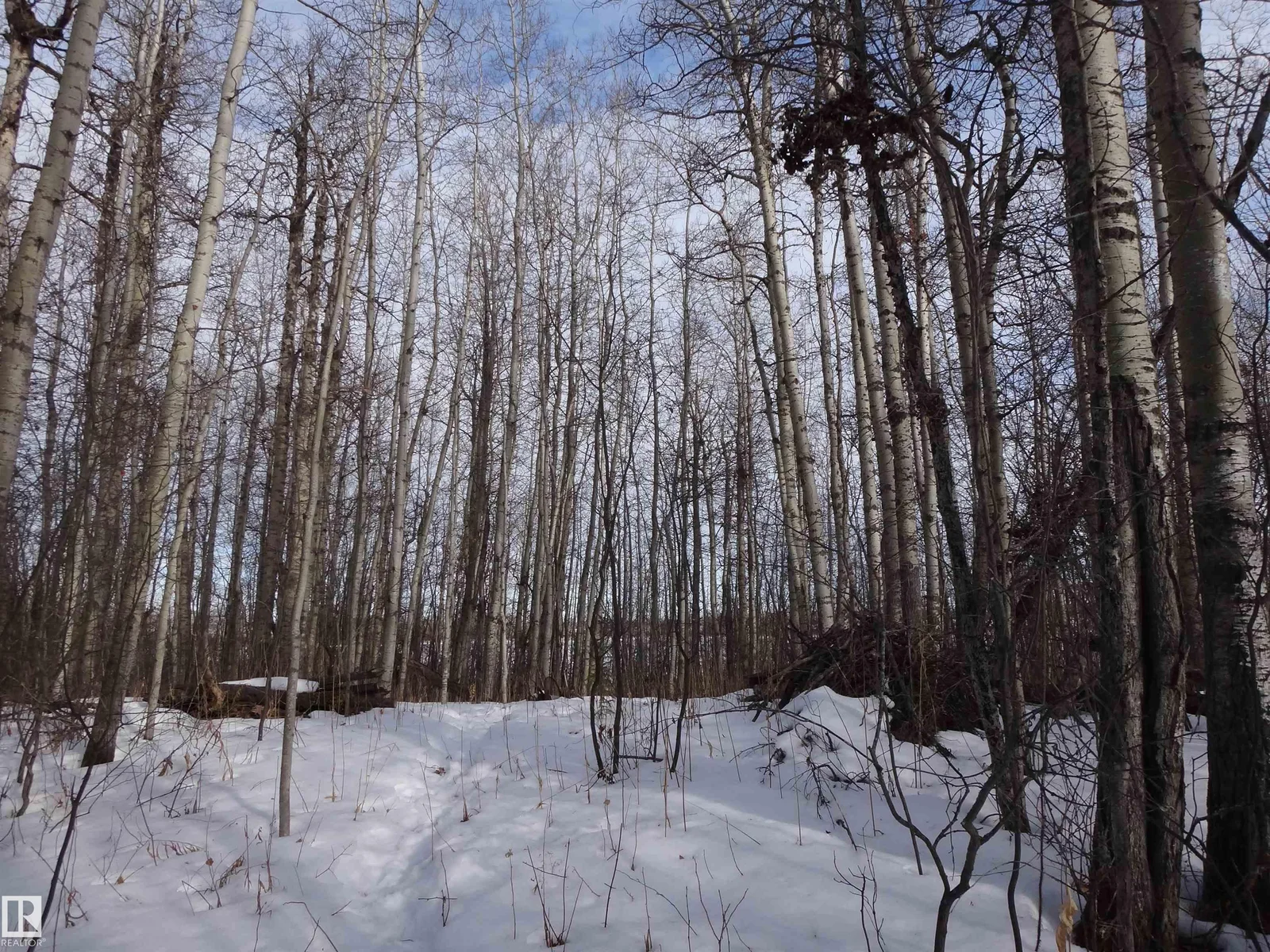 20 53102 rge rd 31, Rural Parkland County - 0 bedroom Vacant Lot/Land for sale