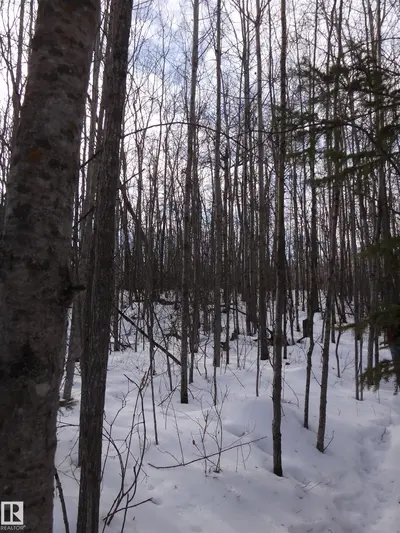 Interior photo 3 of 20 53102 rge rd 31