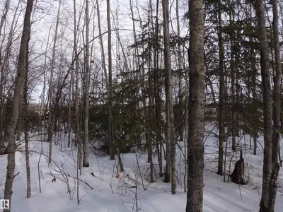 Interior photo 4 of 20 53102 rge rd 31