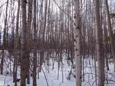 Interior photo 2 of 20 53102 rge rd 31