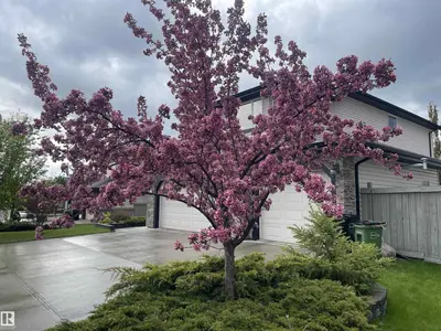 Interior photo 3 of 7548 SPEAKER WY NW