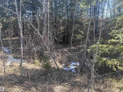 Interior photo 2 of 4-23-63-17 SE