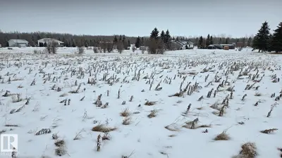 Interior photo 2 of 22 15025 Twp Rd 470