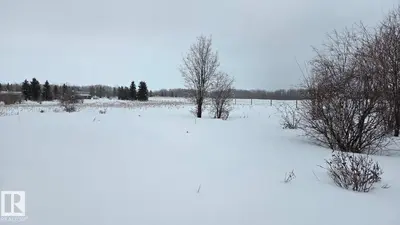 Interior photo 1 of 22 15025 Twp Rd 470