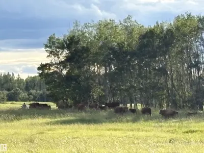 Interior photo 3 of 0 NW-31-49-3 W5