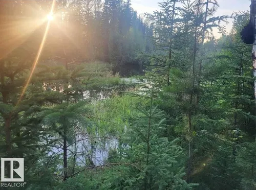 5-11-53-24 SW Block 1, Lot 5 RR111 & Twp 533, Rural Yellowhead - $250,000