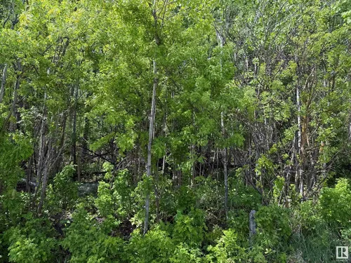 Lot 6 Baptiste DR, Rural Athabasca County - $95,000