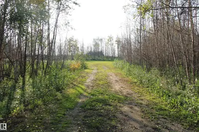 Interior photo 1 of #133 5124 TWP ROAD 554
