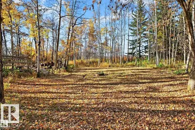 Interior photo 2 of #4 51317 HGHWAY 60