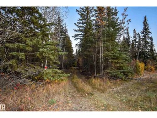 Twp Rd 625 and Hwy 63, Rural Thorhild County - $89,000