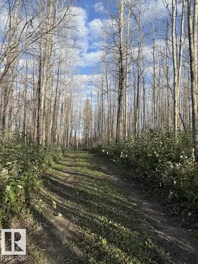 Interior photo 4 of #1 TWP 630 RR 26