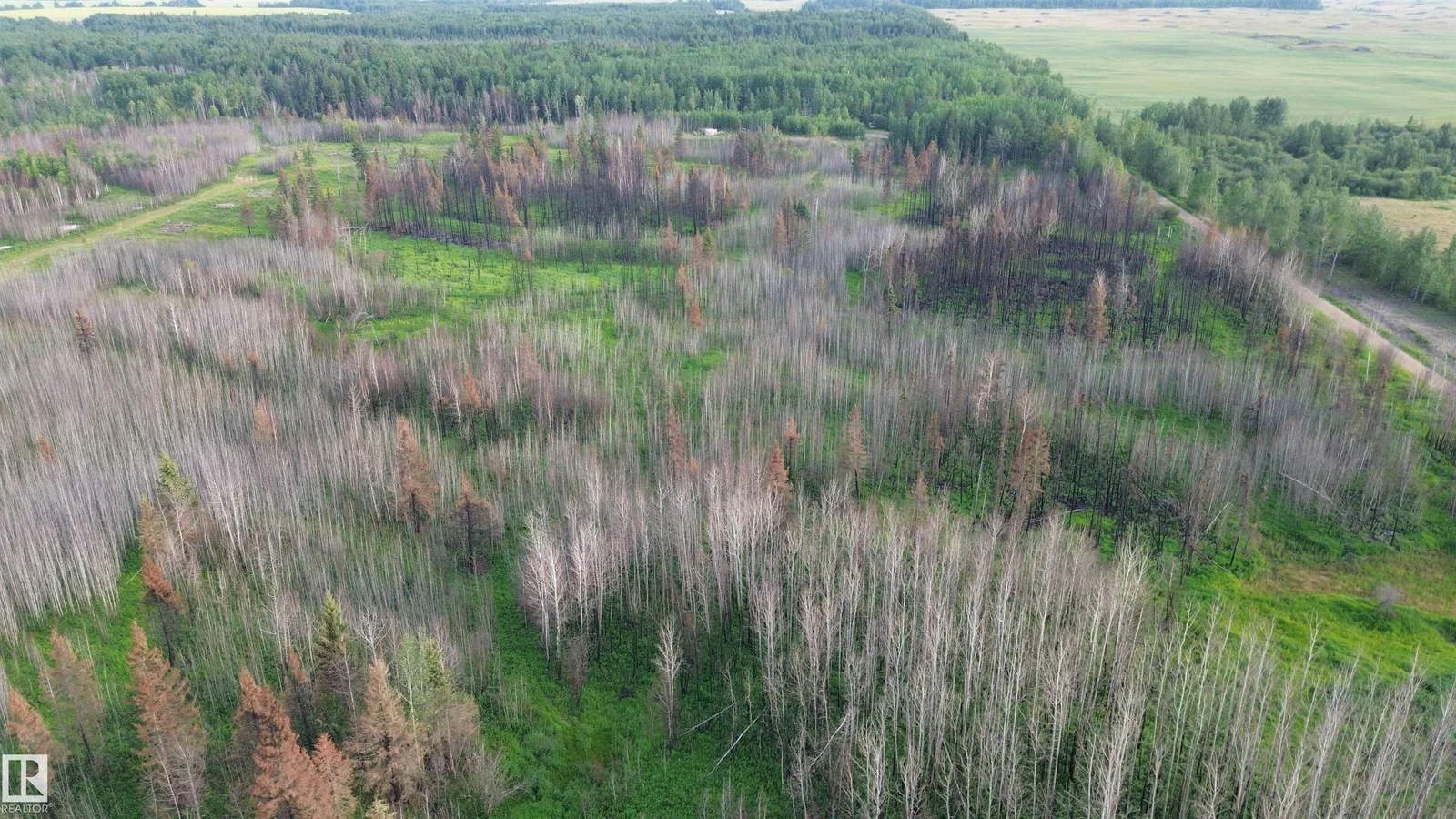 #1 TWP 630 RR 26, Rural Westlock County - 0 bedroom Vacant Lot/Land for sale