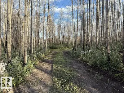 Interior photo 3 of #1 TWP 630 RR 26