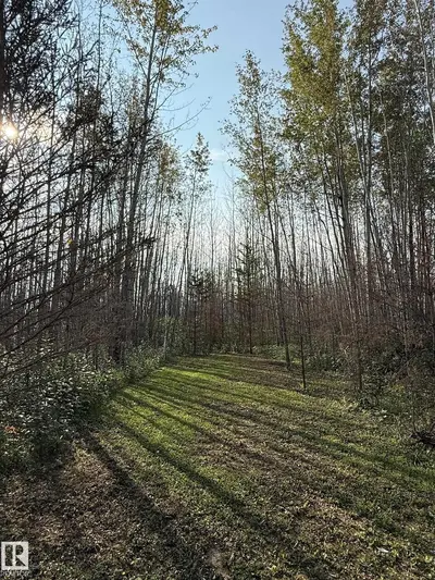 Interior photo 1 of #1 TWP 630 RR 26