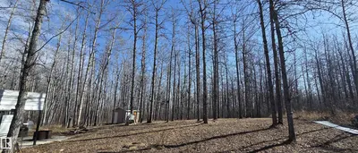 Interior photo 3 of #4 13070 464 TWP RD