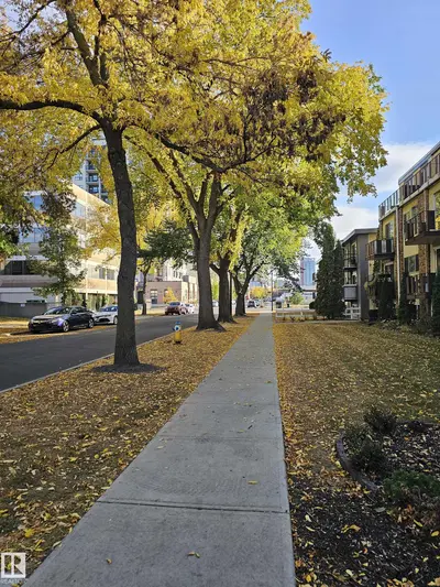 Interior photo 4 of #8 10616 123 ST NW