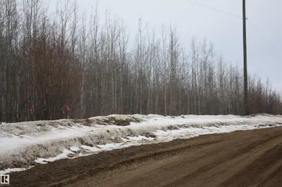 Interior photo 1 of TWP 655 RR 185