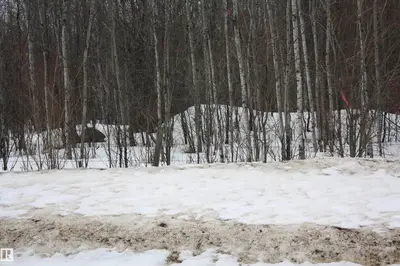 Interior photo 3 of TWP 655 RR 185