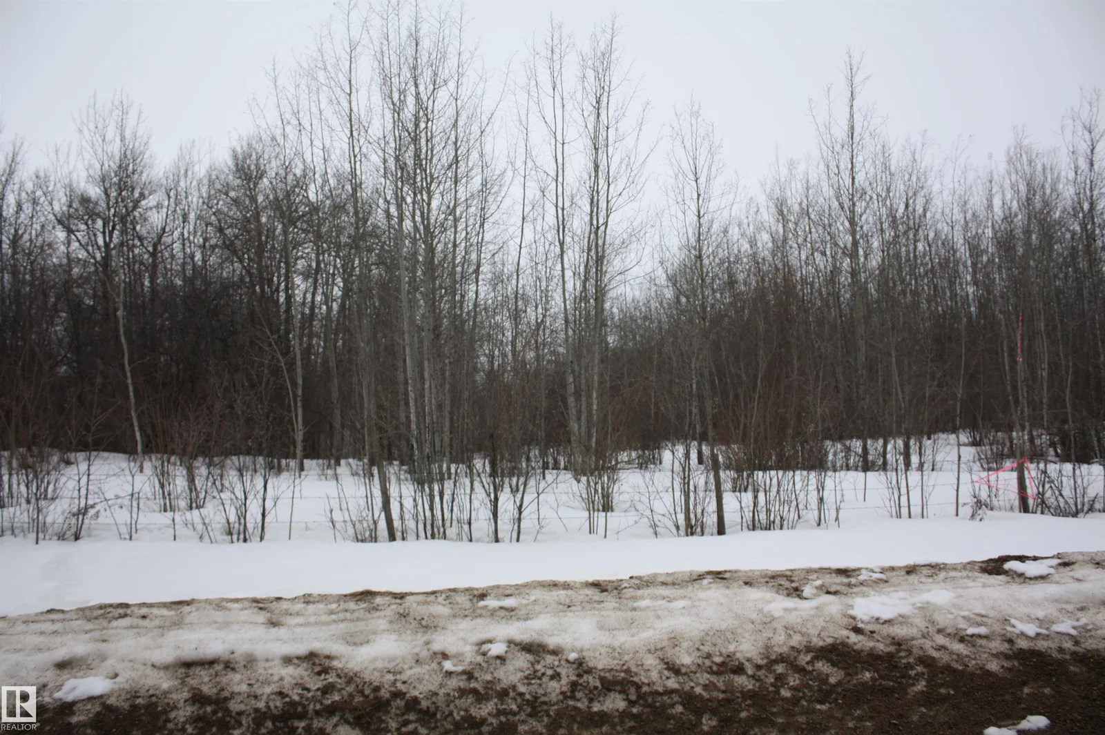 TWP655 RR185, Rural Athabasca County - 0 bedroom Vacant Lot/Land for sale