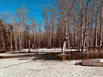 Interior photo 4 of 622036 RGE RD 63